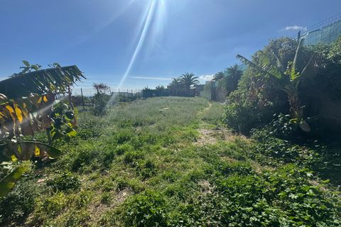Finca i El Escobonal, Tenerife, El Escobonal - € 369.000 | Ref: VHP-0420 - foto 15